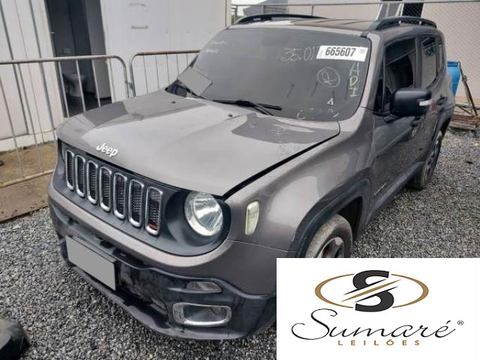 JEEP RENEGADE 18/19